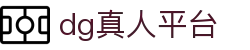 dg真人平台 - (中国)苏州dg真人平台实业集团有限公司欢迎您